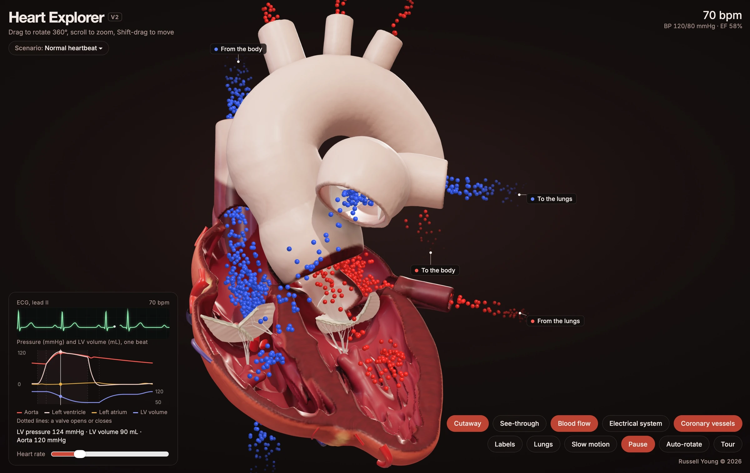 Heart Explorer V2 showing a detailed 3D cutaway heart, blood-flow visualization, and interactive viewing controls